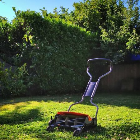 Comment limiter les mauvaises herbes avec une Tonte de pelouse 95 ?